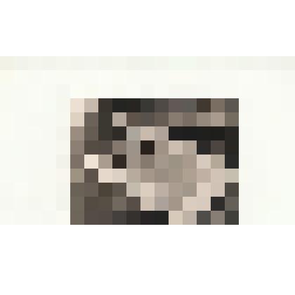 Фотография. Рушева Н.Н