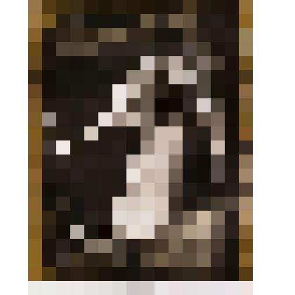 Без названия. Фотография