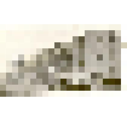 Фотография: вид г.Камень-на-Оби, улица Пушкина