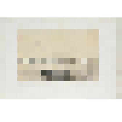 Литография. "Санкт-Петербург. Богадельня, принадлежащая господину Анатолю Демидову. Вид от Императорских складов."