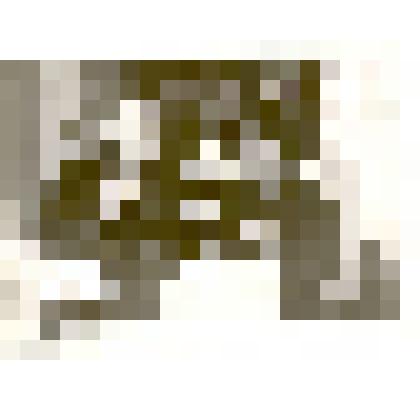 Фотография: мастер производственного обучения Камелин ведет практическое обучение для учащегося из Монгольской Народной Республики