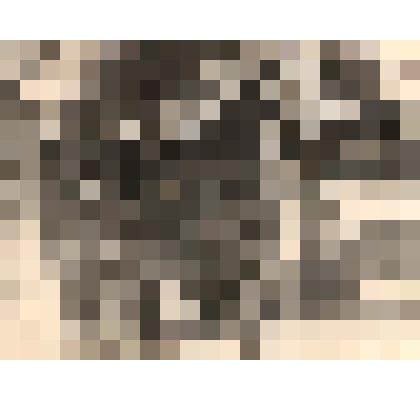 Фотография Отаров Омар Магомедович (10.05.1916-22.05.2002)