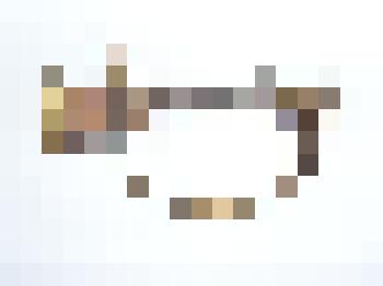 Эфес от сабли