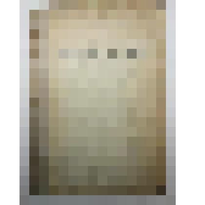 Книга. Болезни деревьев. Типо-лит. Высоч. утвержд. Т-ва И.Н. Кушнерев и К