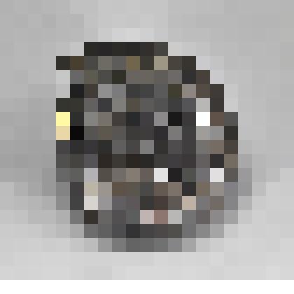 Dorsoplanites panderi (d`Orbigny, 1845)