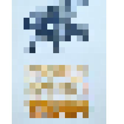 Эстамп. «Птица 2». Диптих