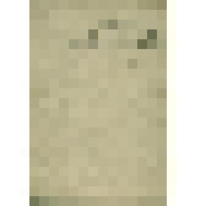 Книга межевая. "Соли Вычегодского уезда Окологородной волости деревни Гусихи и Лаптихи"