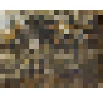 Усадьба декабристов