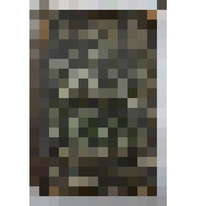 Книга. Общедоступное руководство по молочному хозяйству. 3-е издание.  "Пушкинская Скоропечатня"