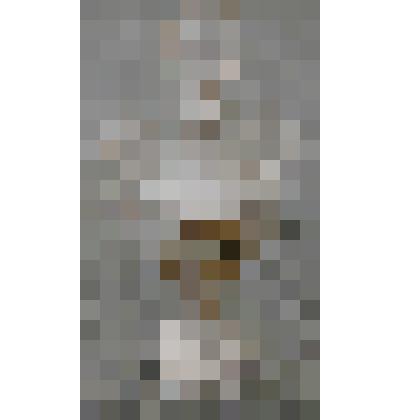 Приз Большой Трехлетний Орловский. ЦМИ Москва, 1995 г.  (Конзавод № 9)