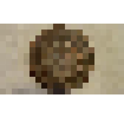 Монета Российской империи 5 копеек (Александр II)