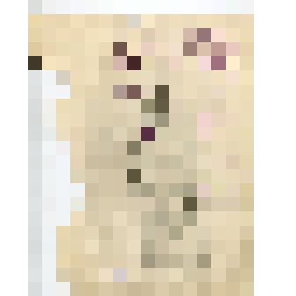 Рисунок «Побег из лагеря»