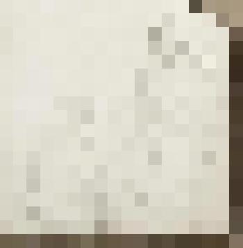 Вооз и Руфь. Набросок иллюстрации. Библия. Книга "Руфь"