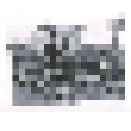 Фотография: Туманов Александр Федорович, начальник Каменской дистанции пути Западно-Сибирской железной дороги, следит за исправностью путей