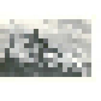 Фотография: первомайская демонстрация в г.Камне-на-Оби Алтайского края