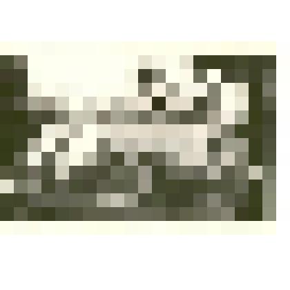 Фотография: здание Каменской типографии, вид с реки Обь