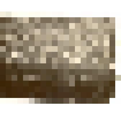 Фотография: финансовый слет Каменского района по сельскому хозяйству