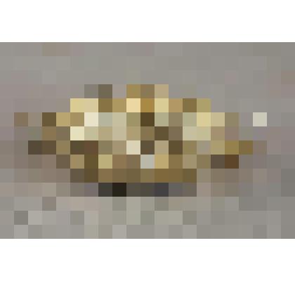 Чаша (чарка для вина)