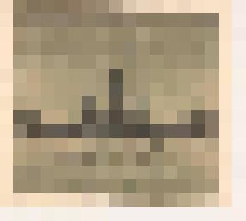 Монотипия [Вид на Исаакиевский собор с Университетской набережной]