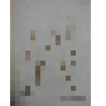 Гербарий для курса ботаники средней школы