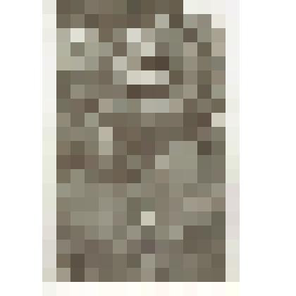 Фото: Жухевич А.А. Снимок погрудный (на фоне деревьев)