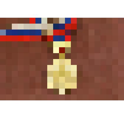 Медаль. Чемпионат России