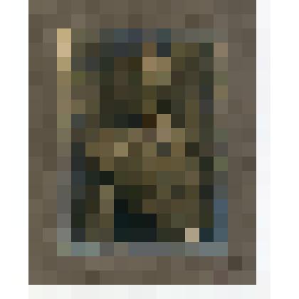 Фотография. Сергей Сергеевич Каменев