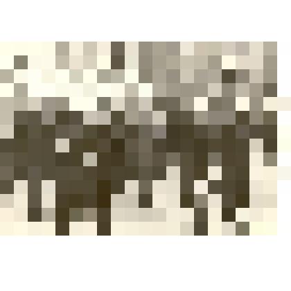 Фотография: первомайская демонстрация в г.Камень-на-Оби Алтайского края. Делегация Каменского педагогического училища