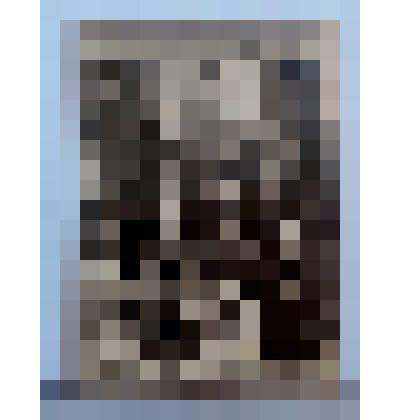 Сюжетная фотография