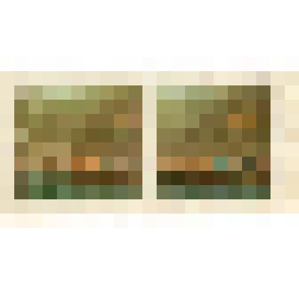 Фотография. Фото для диапроектора