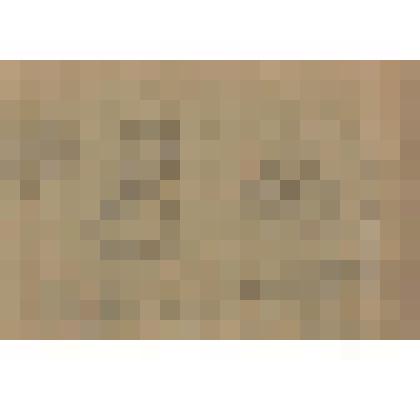 1. Проекты оформления кувшина, ваз и террин. 2. Портретные наброски. Рисунок двусторонний