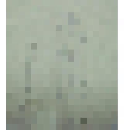 Набросок. Старушка молится. Рисунок