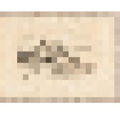 Финляндский пейзаж, из альбома  «190 пейзажей; зарисовки, иллюстрации, карикатуры»