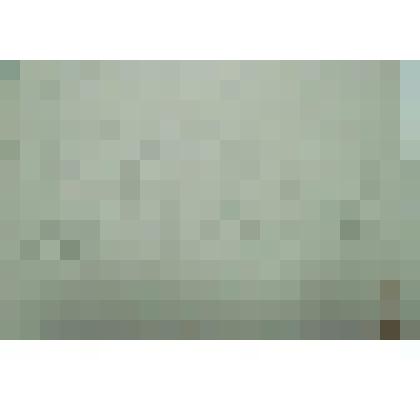 1. На берегу. 2. Коровы у стога. Пейзажи. Рисунок двусторонний