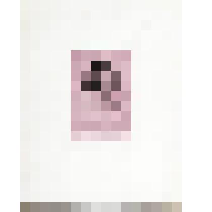 Портрет С.Н. Бородаевской. Отдельный оттиск заметки с портрета С.О. Бородаевского. Оттиск с розовым припечатным листом