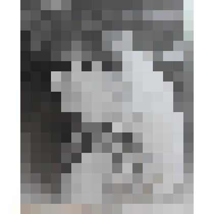 Фотография. Колхоз «Урнэк» Актанышский район