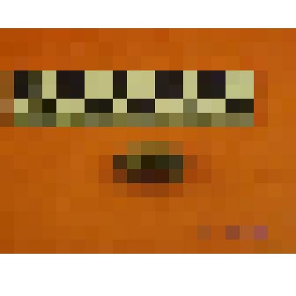 нуклеус карандашевидный