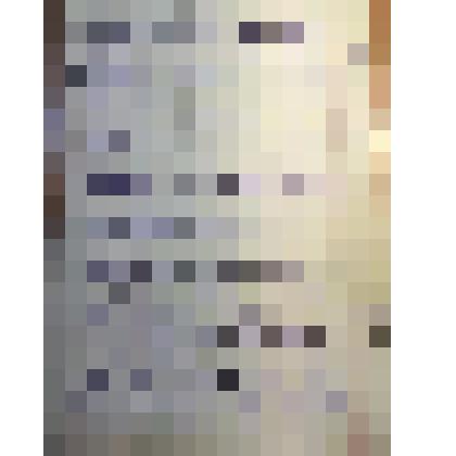 Автобиография Пантелеевой К.А