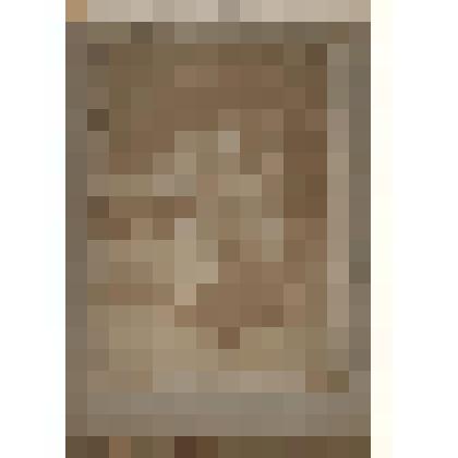 О.Д. Форш с мужем, дочерьми и верой Измайловной Срезневской. Архив О. Форш