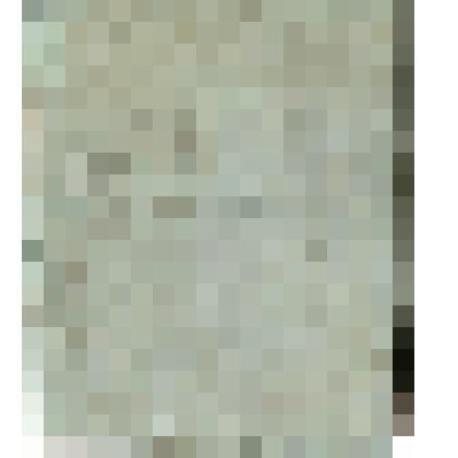 Номерация летняя черновая Василия Осиповича Алина. На белую рыбу и ворвань, и прочее, 1892 года, 15 июля