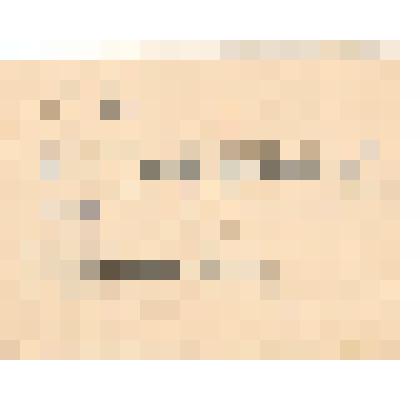 Документ. Справка об объявлении благодарности за отличные боевые действия при овладении городом Брук. Выдана гв. рядовому Калмыкову Михаилу Семёновичу