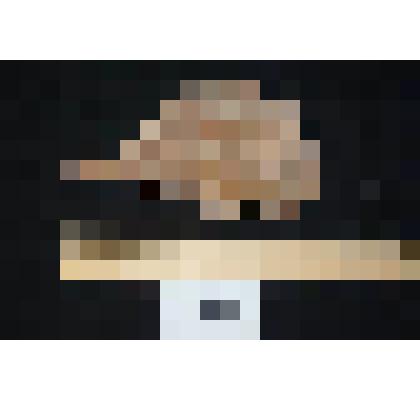 Фрагмент морской лилии