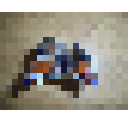 Бабочка  Дневной павлиний глаз