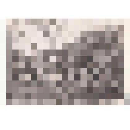 Фотография. Жданов Г.Л. среди однополчан