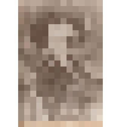 Фотокопия. А.С.Пушкин