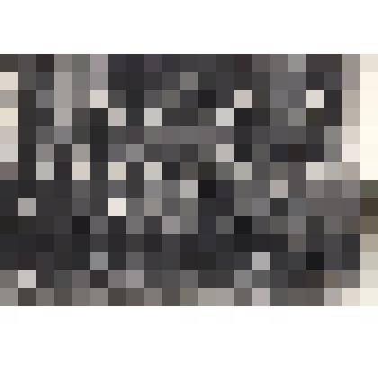 Ф/чб. Комсомольская конференция ЗРВ 14-й Отд. Армии ПВО. 1 ряд 2 справа - п-к Солдатов В.Т. Толмачево. Февраль 1972