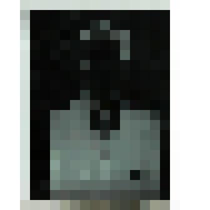 Фотонегатив. Кассиль Л.А