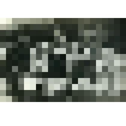 Фотография. Подготовка капусты к хранению