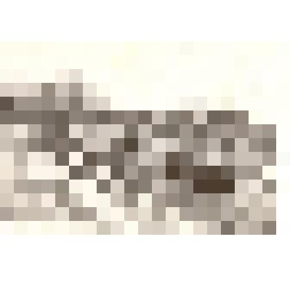 Фотография: улица Гагарина (бывшая Красная) в г.Камень-на-Оби Алтайского края