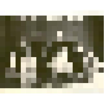 Фотография: Совет пенсионеров г.Камень-на-Оби Алтайского края